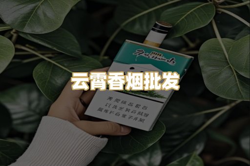 云霄香烟批发